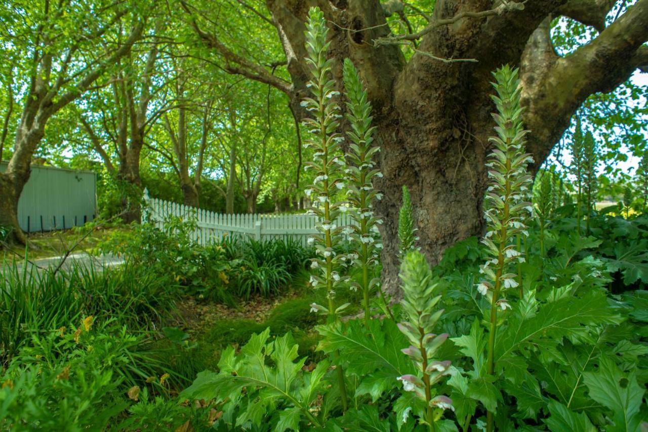 Bed and Breakfast Hawthorne House Hastings Exteriér fotografie